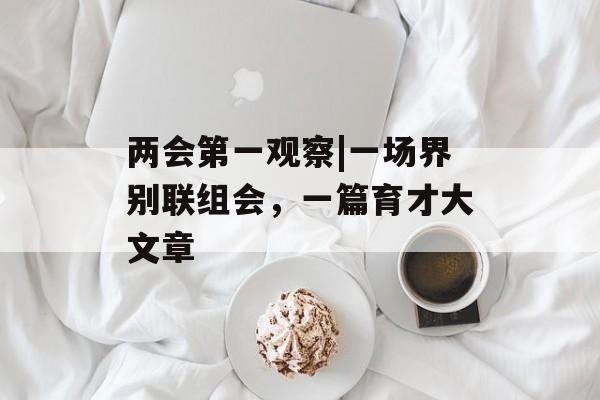 两会第一观察|一场界别联组会，一篇育才大文章-第1张图片-