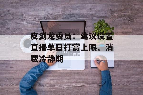皮剑龙委员：建议设置直播单日打赏上限、消费冷静期-第1张图片-