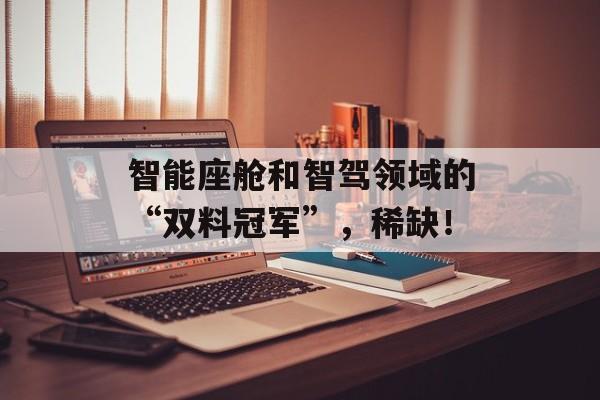 智能座舱和智驾领域的“双料冠军”，稀缺！-第1张图片-