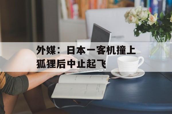 外媒：日本一客机撞上狐狸后中止起飞-第1张图片-