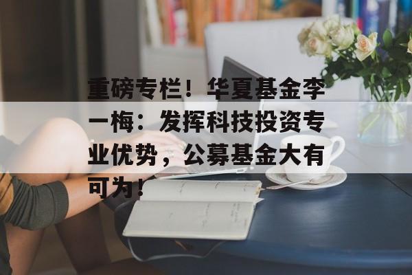 重磅专栏！华夏基金李一梅：发挥科技投资专业优势，公募基金大有可为！-第1张图片-