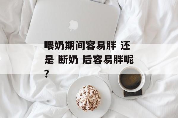 喂奶期间容易胖 还 是 断奶 后容易胖呢？-第1张图片-