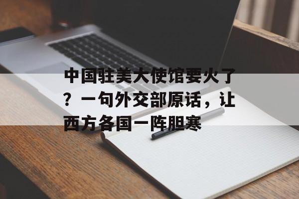 中国驻美大使馆要火了？一句外交部原话，让西方各国一阵胆寒-第1张图片-