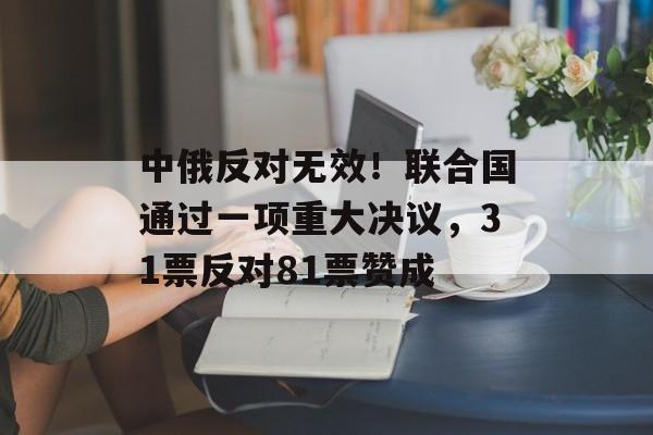 中俄反对无效！联合国通过一项重大决议，31票反对81票赞成-第1张图片-