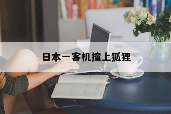 日本一客机撞上狐狸-第1张图片-