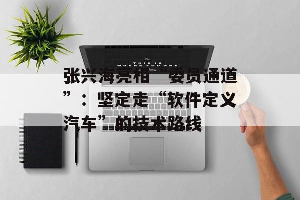 张兴海亮相“委员通道”：坚定走“软件定义汽车”的技术路线-第1张图片-