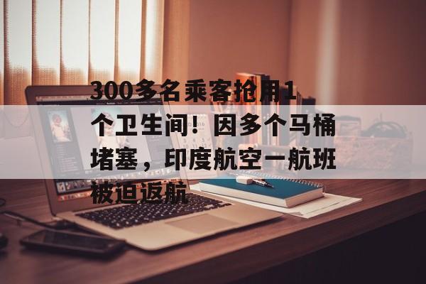 300多名乘客抢用1个卫生间！因多个马桶堵塞，印度航空一航班被迫返航-第1张图片-