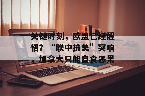 关键时刻，欧盟已经醒悟？“联中抗美”突响，加拿大只能自食恶果-第1张图片-