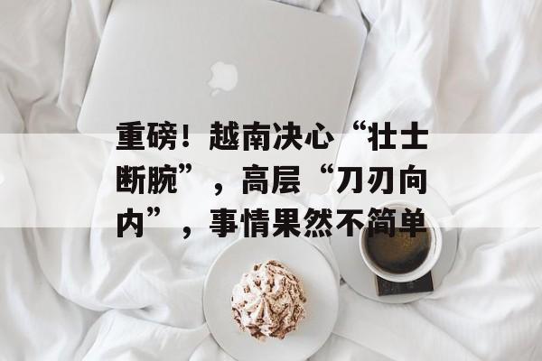 重磅！越南决心“壮士断腕”，高层“刀刃向内”，事情果然不简单-第1张图片-