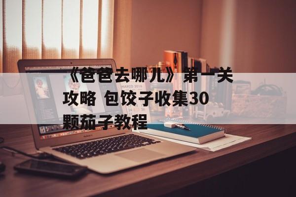 《爸爸去哪儿》第一关攻略 包饺子收集30颗茄子教程-第1张图片-