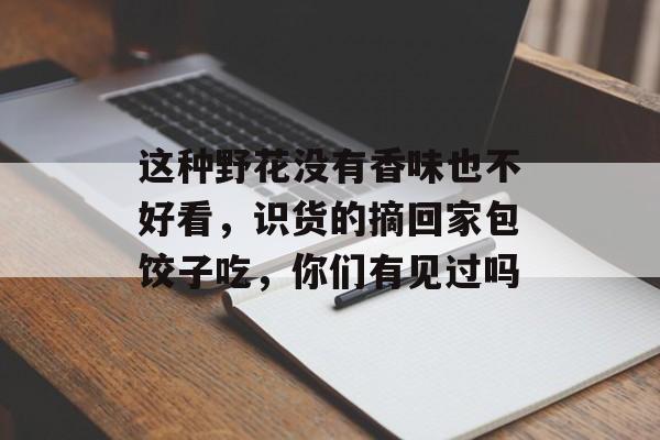 这种野花没有香味也不好看，识货的摘回家包饺子吃，你们有见过吗-第1张图片-