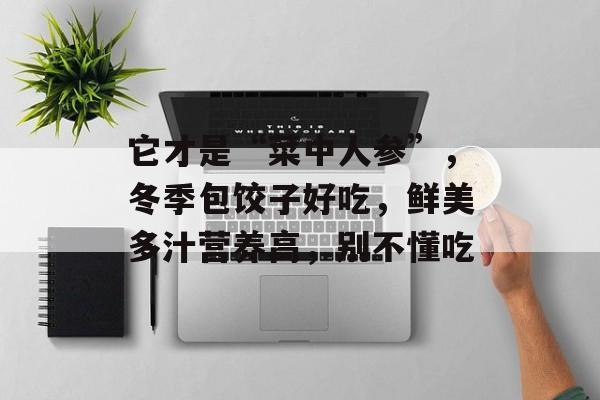 它才是“菜中人参”，冬季包饺子好吃，鲜美多汁营养高，别不懂吃-第1张图片-