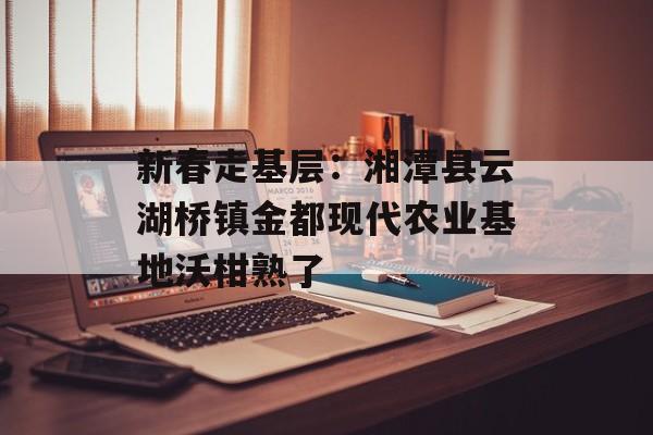 新春走基层：湘潭县云湖桥镇金都现代农业基地沃柑熟了-第1张图片-