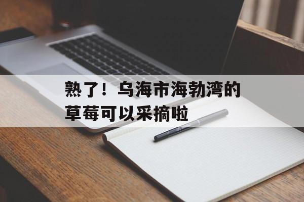 熟了！乌海市海勃湾的草莓可以采摘啦-第1张图片-