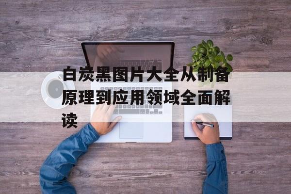 白炭黑图片大全从制备原理到应用领域全面解读-第1张图片-