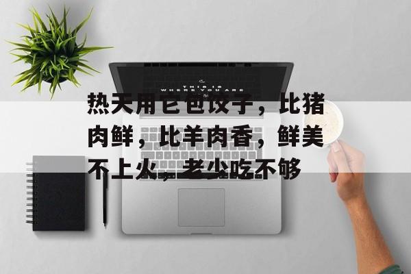热天用它包饺子，比猪肉鲜，比羊肉香，鲜美不上火，老少吃不够-第1张图片-