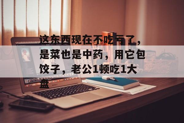 这东西现在不吃亏了，是菜也是中药，用它包饺子，老公1顿吃1大盘-第1张图片-