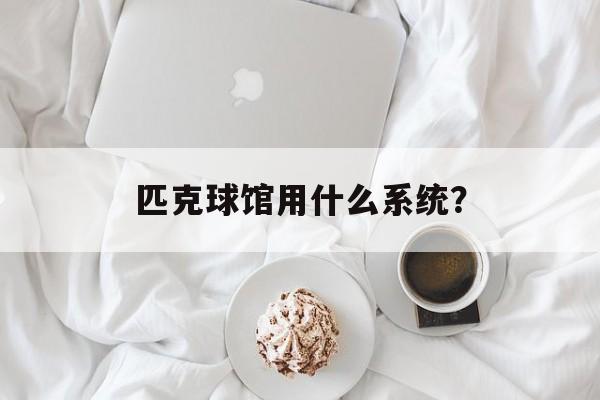 匹克球馆用什么系统？-第1张图片-