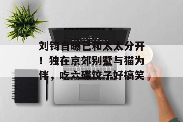 刘钧自曝已和太太分开！独在京郊别墅与猫为伴，吃六碟饺子好搞笑-第1张图片-