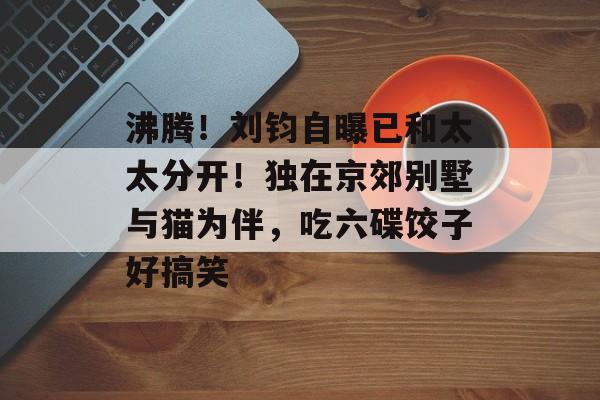 沸腾！刘钧自曝已和太太分开！独在京郊别墅与猫为伴，吃六碟饺子好搞笑-第1张图片-