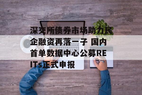 深交所债券市场助力民企融资再落一子 国内首单数据中心公募REITs正式申报-第1张图片-
