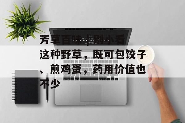 芳草百味 | 别小看这种野草，既可包饺子、煎鸡蛋，药用价值也不少-第1张图片-