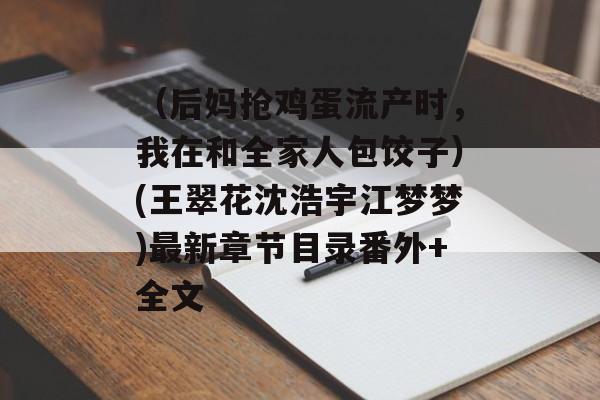 （后妈抢鸡蛋流产时，我在和全家人包饺子）(王翠花沈浩宇江梦梦)最新章节目录番外+全文-第1张图片-