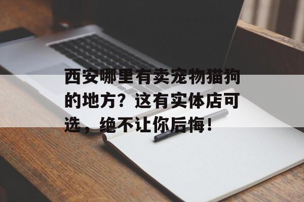 西安哪里有卖宠物猫狗的地方？这有实体店可选，绝不让你后悔！-第1张图片-