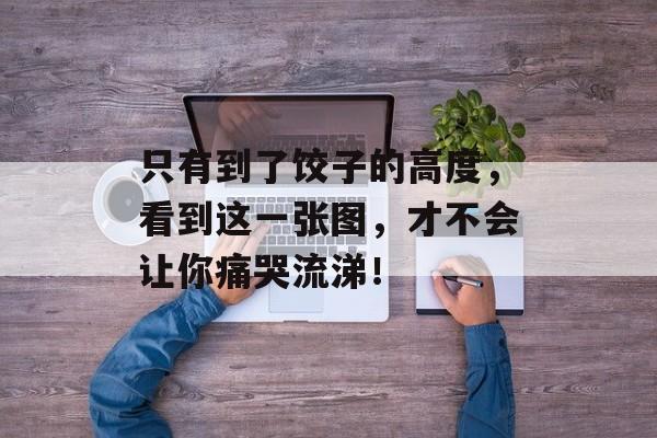 只有到了饺子的高度，看到这一张图，才不会让你痛哭流涕！-第1张图片-