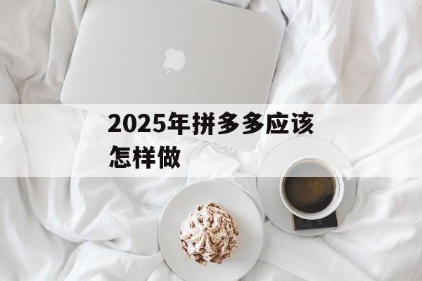 2025年拼多多应该怎样做-第1张图片-