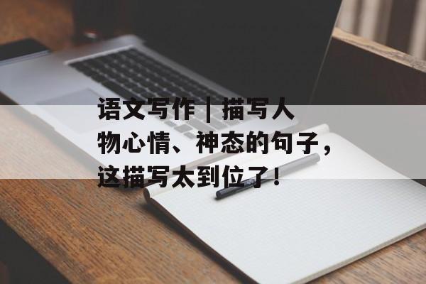 语文写作 | 描写人物心情、神态的句子，这描写太到位了！-第1张图片-