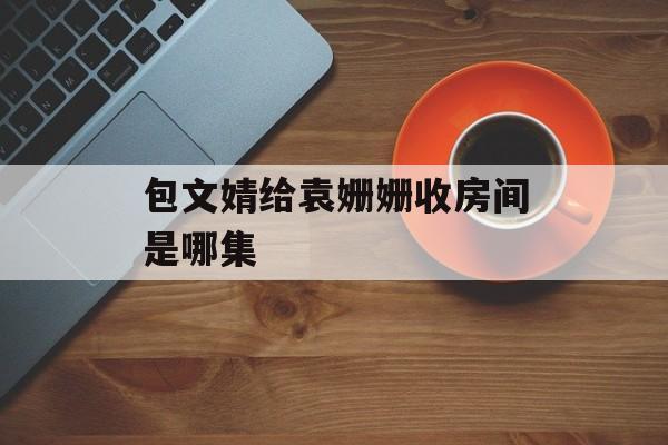 包文婧给袁姗姗收房间是哪集-第1张图片-