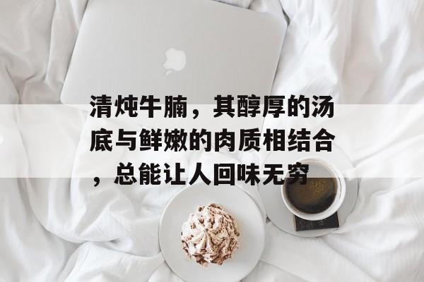 清炖牛腩，其醇厚的汤底与鲜嫩的肉质相结合，总能让人回味无穷-第1张图片-