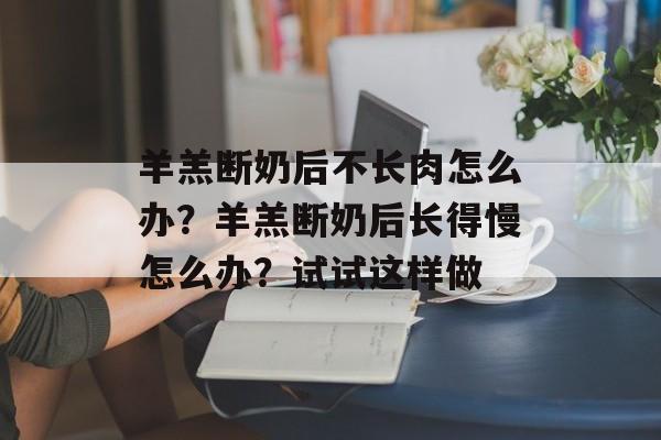 羊羔断奶后不长肉怎么办？羊羔断奶后长得慢怎么办？试试这样做-第1张图片-