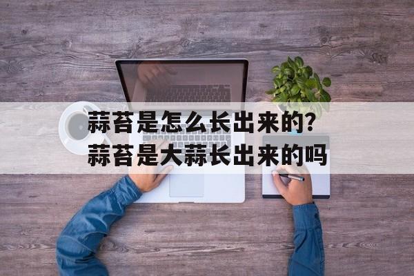 蒜苔是怎么长出来的？蒜苔是大蒜长出来的吗-第1张图片-