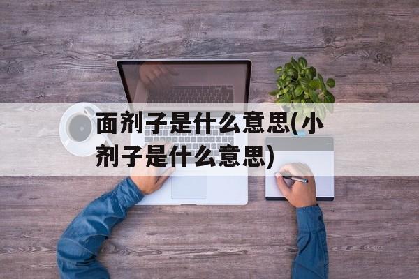 面剂子是什么意思(小剂子是什么意思)-第1张图片-