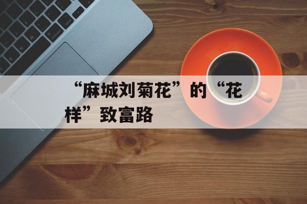 “麻城刘菊花”的“花样”致富路-第1张图片-