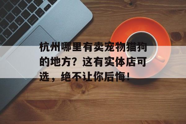 杭州哪里有卖宠物猫狗的地方？这有实体店可选，绝不让你后悔！-第1张图片-