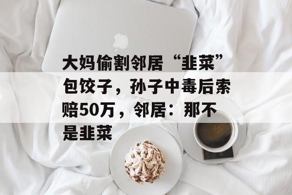 大妈偷割邻居“韭菜”包饺子，孙子中毒后索赔50万，邻居：那不是韭菜-第1张图片-