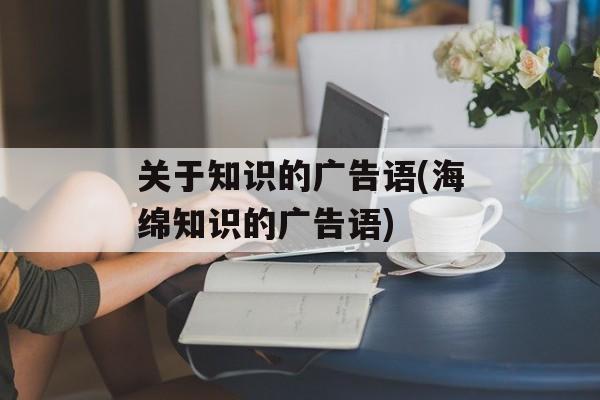 关于知识的广告语(海绵知识的广告语)-第1张图片-