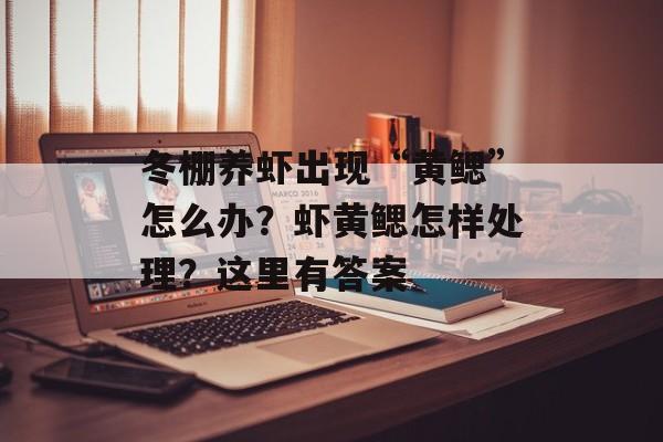 冬棚养虾出现“黄鳃”怎么办？虾黄鳃怎样处理？这里有答案-第1张图片-