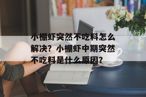 小棚虾突然不吃料怎么解决？小棚虾中期突然不吃料是什么原因？-第1张图片-