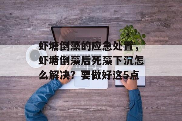 虾塘倒藻的应急处置，虾塘倒藻后死藻下沉怎么解决？要做好这5点-第1张图片-