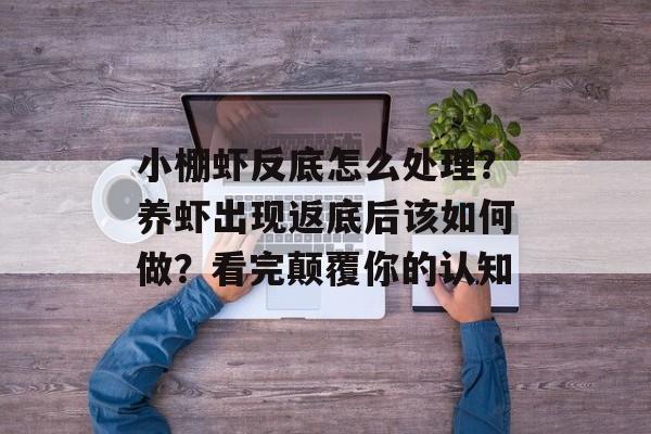 小棚虾反底怎么处理？养虾出现返底后该如何做？看完颠覆你的认知-第1张图片-