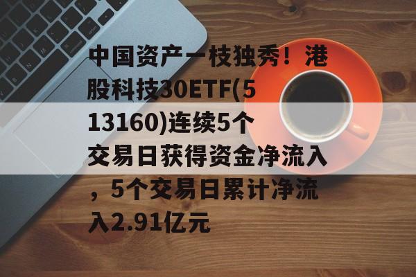 中国资产一枝独秀！港股科技30ETF(513160)连续5个交易日获得资金净流入，5个交易日累计净流入2.91亿元-第1张图片-