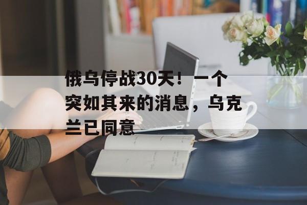 俄乌停战30天！一个突如其来的消息，乌克兰已同意-第1张图片-