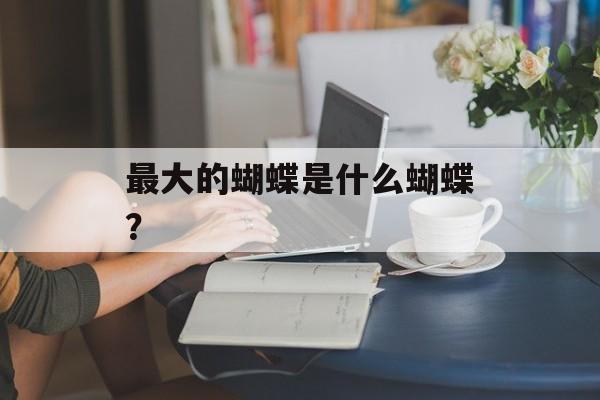 最大的蝴蝶是什么蝴蝶？-第1张图片-