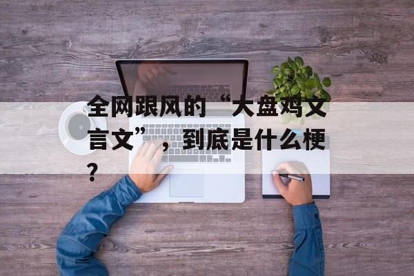 全网跟风的“大盘鸡文言文”，到底是什么梗？-第1张图片-