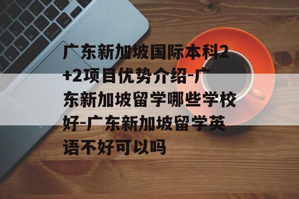 广东新加坡国际本科2+2项目优势介绍-广东新加坡留学哪些学校好-广东新加坡留学英语不好可以吗-第1张图片-