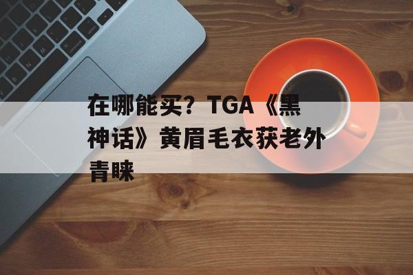 在哪能买？TGA《黑神话》黄眉毛衣获老外青睐-第1张图片-